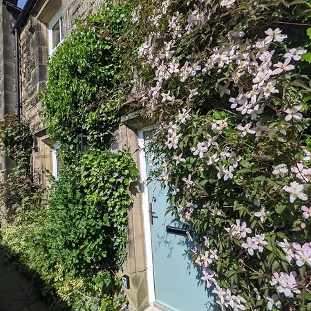 Hotel Rustic Cottage, Garden, Near Amenities, Wifi